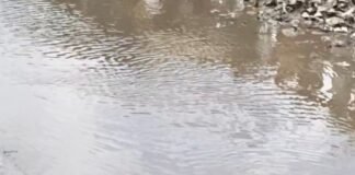 बस्ती में बारिश से सड़कों पर पानी भरा:सिहारी कोड़रा हड़िया चौराहे पर राहगीरों और दुकानदारों को परेशानी