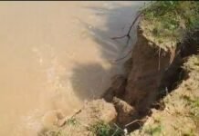 राप्ती नदी के कटान से 500 बीघा खेत नदी में:गन्ना और धान की खड़ी फसल भी चपेट में, किसानों में चिंता