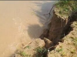 राप्ती नदी के कटान से 500 बीघा खेत नदी में:गन्ना और धान की खड़ी फसल भी चपेट में, किसानों में चिंता
