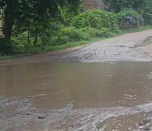 बलुहा-सेमगढ़ा मार्ग पर भरा पानी:स्कूली बच्चों और राहगीरों को आवागमन में परेशानी, हादसे का खतरा