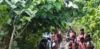 कैलाश नगर-सिरसियनपुरवा मार्ग पर कीचड़:ग्रामीणों ने सड़क बनाने की मांग की, फाइल जिले में अटकी