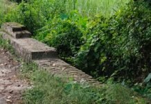सोहट-सिवान मार्ग पर पुलिया की रेलिंग टूटी:राहगीरों, किसानों और स्कूली बच्चों को हादसे का डर, प्रशासन से मरम्मत की मांग