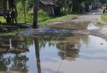 महराजगंज के नटवा में सड़क गड्ढों में तब्दील:जलभराव से राहगीर परेशान, आवाजाही में भारी दिक्कत