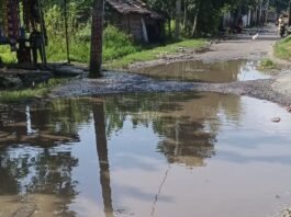 महराजगंज के नटवा में सड़क गड्ढों में तब्दील:जलभराव से राहगीर परेशान, आवाजाही में भारी दिक्कत