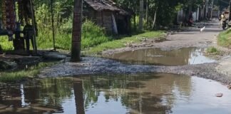महराजगंज के नटवा में सड़क गड्ढों में तब्दील:जलभराव से राहगीर परेशान, आवाजाही में भारी दिक्कत