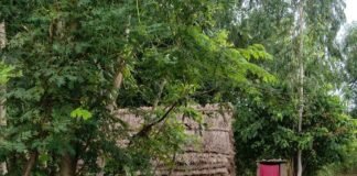 महसी के गलकारा कटैला पुरवाऔर त्यागी पुरवा में बाढ़:खाना बनाने और आने-जाने में दिक्कत; प्रशासन तरफ से नहीं मिली मदद ग्रामीण परेशान