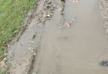 खैरी समैसा में 2 महीने में ही PWD सड़क ध्वस्त:बारिश में उखड़ी डामर, बने गहरे गड्ढे; ग्रामीणों ने घटिया निर्माण का आरोप लगाया