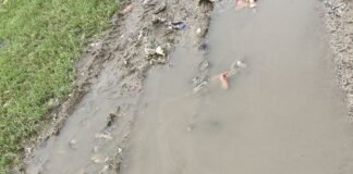 खैरी समैसा में 2 महीने में ही PWD सड़क ध्वस्त:बारिश में उखड़ी डामर, बने गहरे गड्ढे; ग्रामीणों ने घटिया निर्माण का आरोप लगाया