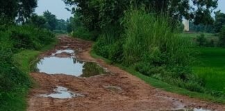 गौरा निपनिया-सोहसा मार्ग पर कीचड़ से भरा रास्ता:हल्की बारिश में ही बदहाल हुई सड़क, ग्रामीणों को 3 किमी अतिरिक्त चलना पड़ रहा