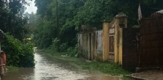 सेमरौना में बारिश के बाद रास्ते खराब:जलभराव और कीचड़ से ग्रामीण परेशान, प्रशासन से सुधार की मांग