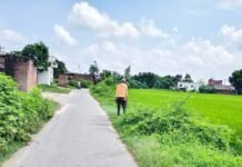 साउघाट में सड़क किनारे छिड़का खरपतवार नाशक:बरसात में घास बढ़ने से बढ़ा खतरा, शिकायत पर हुई कार्रवाई