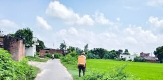 साउघाट में सड़क किनारे छिड़का खरपतवार नाशक:बरसात में घास बढ़ने से बढ़ा खतरा, शिकायत पर हुई कार्रवाई