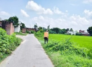 साउघाट में सड़क किनारे छिड़का खरपतवार नाशक:बरसात में घास बढ़ने से बढ़ा खतरा, शिकायत पर हुई कार्रवाई