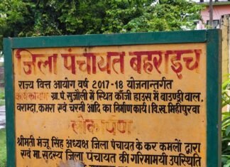 सुजौली की अस्थाई गौशाला की हालत खराब, पशु बीमार:चारे की कमी से बिगड़ी स्थिति; केयरटेकर को नहीं मिला वेतन