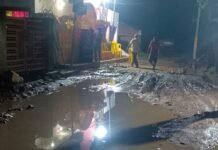 बीरगंज बाजार में जलभराव से जन्मोत्सव पर असर:श्रद्धालुओं को परेशानी, PWD पर लापरवाही का आरोप