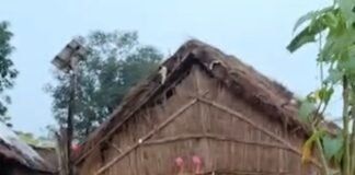 मिहींपुरवा में घाघरा का जलस्तर बढ़ा:कई गांवों में जनजीवन अस्त-व्यस्त, पशुओं के चारे का संकट बढ़ा