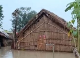 मिहींपुरवा में घाघरा का जलस्तर बढ़ा:कई गांवों में जनजीवन अस्त-व्यस्त, पशुओं के चारे का संकट बढ़ा