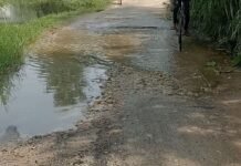 महराजगंज में विजयपुर-बागापार मार्ग बारिश में बना दलदल:दो दर्जन गांवों के लोग परेशान, PWD पर लापरवाही का आरोप