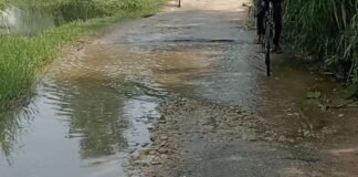 महराजगंज में विजयपुर-बागापार मार्ग बारिश में बना दलदल:दो दर्जन गांवों के लोग परेशान, PWD पर लापरवाही का आरोप