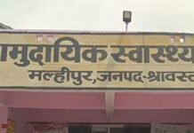 खेत में घास काट रही महिला को सांप ने काटा:मल्हीपुर में हालत बिगड़ने पर परिजन जिला अस्पताल ले गए, प्राथमिक उपचार के बाद रेफर