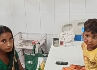 बहराइच में 5 साल के मासूम पर कुत्ते का हमला:चेहरे को बुरी तरह नोचा, मां ने डंडा लेकर बचाया