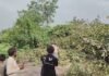 बहराइच में बारिश में सड़क पर धराशायी हुआ बरगद:हाईटेंशन लाइन और बिजली का पोल टूटा; इमामगंज-बहराइच मार्ग 2 घंटे बंद रहा