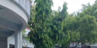 लखैया कला कॉलेज में बाल संसद का गठन:प्रधानमंत्री और उप प्रधानमंत्री बने, छात्रों को मिली मंत्रालयों की जिम्मेदारी