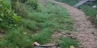 तेंदुआ पंडित में साफ सफाई न होने से गंदगी फैली:राहगीरों को आने-जाने में दिक्कत, सफाईकर्मी नहीं आने से बढ़ा मच्छरों का प्रकोप