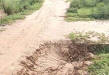 जमुनहा के सेहरिया-कटकुइयां कच्चा मार्ग बदहाल:बारिश में गड्ढे और कीचड़ से आवागमन मुश्किल, पुलिया भी टूटी