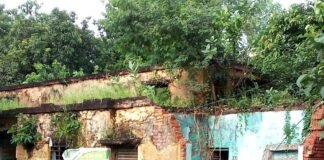 शिकारी चौड़ा में जर्जर समिति भवन की छत गिरी:हादसा टला, धान-गेहूं खरीद केंद्र निजी दुकान में लगता है