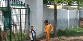 श्रावस्ती के मनवरिया दीवान में गंदगी और जलभराव:विद्यालय और सचिवालय के सामने कीचड़, बच्चों-ग्रामीणों को हो रही परेशानी