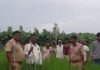 बहराइच में तेंदुए की दहशत फैली:पंजों के निशान फिशिंग कैट के निकले, गांव में वनकर्मी तैनात