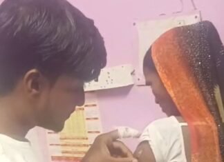 मल्हीपुर सीएचसी में जानवरों के काटने के मामले बढ़े:एक सप्ताह में 80 लोग पहुंचे अस्पताल, डॉक्टर ने तुरंत इलाज की सलाह दी