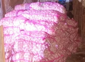 भारत-नेपाल सीमा पर 14.40 क्विंटल चाइनीज लहसुन बरामद:झोपड़ी में 72 बोरियों में छिपाकर रखा था माल; तस्कर अंधेरे का फायदा उठाकर फरार