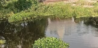 बस्ती में ग्रामीणों ने मनोरमा नदी से हटाई जलकुंभी:50 ग्रामीणों ने 500 मीटर नदी की साफ, 5 किमी तक चलेगा अभियान