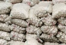 निचलौल में ने घर से 72 बोरी लहसुन जब्त:सीमा क्षेत्र में संदिग्ध तरीके से रखा था स्टॉक; सीमा पार से लाए जाने की आशंका