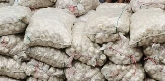 निचलौल में ने घर से 72 बोरी लहसुन जब्त:सीमा क्षेत्र में संदिग्ध तरीके से रखा था स्टॉक; सीमा पार से लाए जाने की आशंका