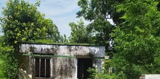 भदैयापुरवा प्राथमिक विद्यालय की बाउंड्री 2 महीने से टूटी:मोतीपुर में बच्चों की सुरक्षा पर सवाल, अधिकारी बेखबर