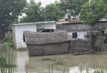 दुबौलिया में सरयू में बाढ़ से आधे दर्जन गांव डूबे:खेतों में पानी भरा, आवागमन पर असर; राहत-बचाव जारी