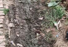 श्रावस्ती में रास्ता क्षतिग्रस्त होने से आवागमन बाधित:ग्रामीणों ने ग्राम प्रधान से लगाई मदद की गुहार, बच्चों को स्कूल जाने में हो रही दिक्कत