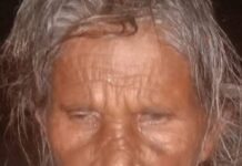 आंगन में सो रही महिला पर तेंदुए ने किया हमला:बहराइच में सिर पर किए कई वार, एक हफ्ते में एक बच्चे की मौत; दो घायल