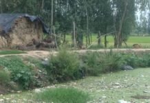 श्रावस्ती के निरहा गांव में तालाब से दुर्गंध और मच्छर:सोनवा थाना क्षेत्र में स्थानीय लोग परेशान, बच्चों के डूबने का डर