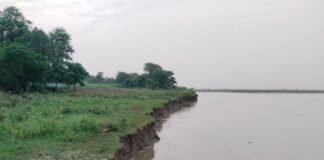 राप्ती नदी का कटान तेज, पुरुषोत्तमपुर गांव में बढ़ा खतरा:सिसवारा पुल बनने के बाद बहाव बदला, ग्रामीणों ने बांध बनाने की मांग की