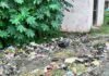 बिस्मिल नगर पिपरिया में रास्ते पर कूड़े का अंबार:कई दिनों से जमा कूड़ा फैला रहा बीमारियां, पास में स्कूल और RO प्लांट