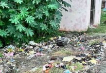 बिस्मिल नगर पिपरिया में रास्ते पर कूड़े का अंबार:कई दिनों से जमा कूड़ा फैला रहा बीमारियां, पास में स्कूल और RO प्लांट