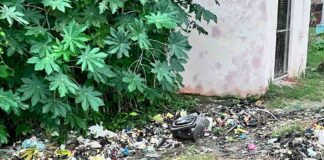 बिस्मिल नगर पिपरिया में रास्ते पर कूड़े का अंबार:कई दिनों से जमा कूड़ा फैला रहा बीमारियां, पास में स्कूल और RO प्लांट