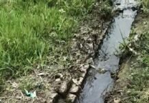 चार साल से टूटी नाली, सड़क पर बह रहा पानी:सोहगौरा में ग्रामीण परेशान, मरम्मत की मांग