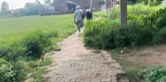 श्री गोपाल जोत लिंक रोड टूटी, मरम्मत की मांग:लेहरा-बैसार मुख्य मार्ग से जुड़ने वाली सड़क पर चलना मुश्किल, आए दिन हो रहे हादसे