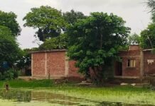 घाघरा की बाढ़ से सैकड़ों एकड़ धान की फसल जलमग्न:कई दिनों से पानी में डूबी फसल सड़ने की आशंका, किसानों ने मुआवजे की मांग की