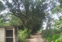 बन्नी मूलभूत सुविधाओं से जूझ रहा:सड़क, नाली, पेयजल, आवास और स्ट्रीट लाइट का अभाव; ग्रामीणों में नाराजगी